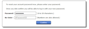 password type input