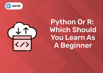 Python or R Which Should You Learn as a Beginner (1)