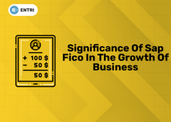 Significance of Sap Fico in The Growth of Business