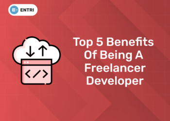 Top 5 Benefits Of Being A Freelancer developer (1)