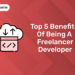 Top 5 Benefits Of Being A Freelancer developer (1)