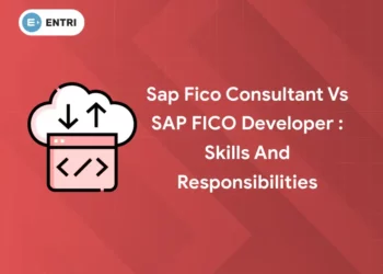 Sap Fico Consultant vs SAP FICO Developer