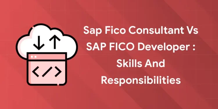 Sap Fico Consultant vs SAP FICO Developer