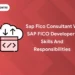 Sap Fico Consultant vs SAP FICO Developer