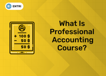 What Is Professional Accounting Course (1)