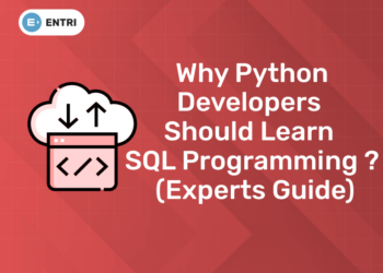 Why Python Developers Should Learn SQL programming (Experts guide) (1)