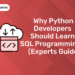 Why Python Developers Should Learn SQL programming (Experts guide) (1)