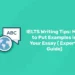 IELTS Writing Tips: How to Put Examples in Your Essay (Experts Guide)