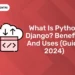 What is Python Django? Benefits and Uses (Guide 2024)