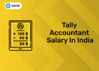 Tally Accountant Salary in India (1)