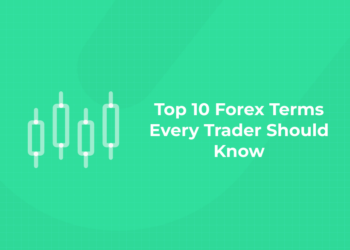 Top 10 Forex Terms Every Trader Should Know