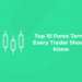 Top 10 Forex Terms Every Trader Should Know