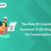 about the role of quantity surveyors in stages of construction