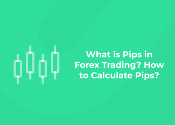 What is Pips in Forex Trading How to calculate pips
