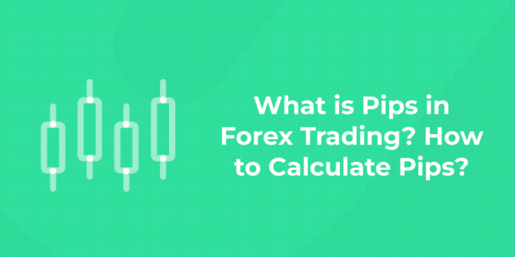 What is Pips in Forex Trading? How to Calculate Pips?