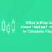 What is Pips in Forex Trading How to calculate pips