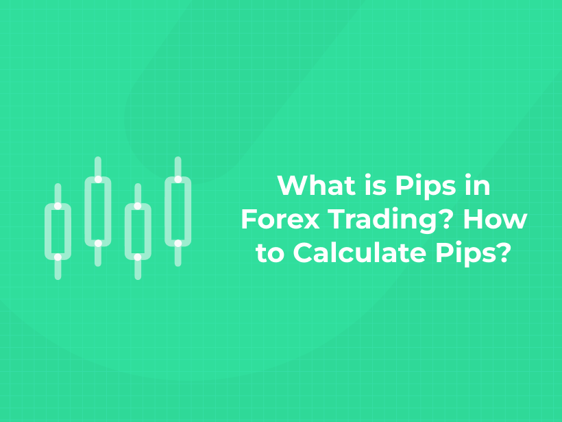 What is Pips in Forex Trading? How to Calculate Pips?