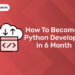 How to become a Python Developer in 6 Month