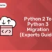 Python 2 to Python 3 Migration (Experts Guide)