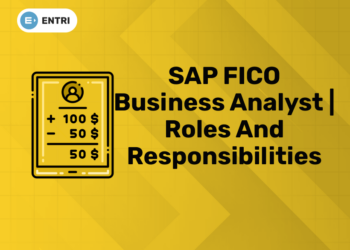 SAP FICO Business Analyst Roles and Responsibilities (1)