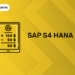 SAP S4 HANA FI (1)