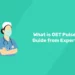 What is OET Pulse? Guide from Experts