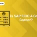 Is SAP FICO A Good Career?