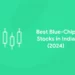 Best Blue-Chip Stocks in India