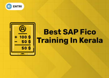 Best SAP Fico Training in Kerala (1)