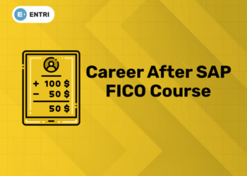 Career After SAP FICO Course (1)