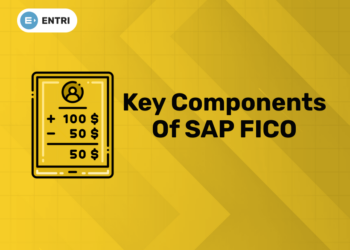 Key Components of SAP FICO (2)