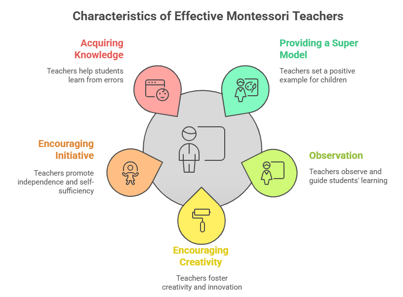 Top Characteristics Of Montessori Teachers