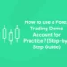 How to use a Forex Trading Demo Account