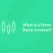 What is a Forex Demo Account?