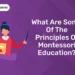 What Are Some Of The Principles Of Montessori Education?