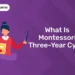 What Is Montessori Three-Year Cycle