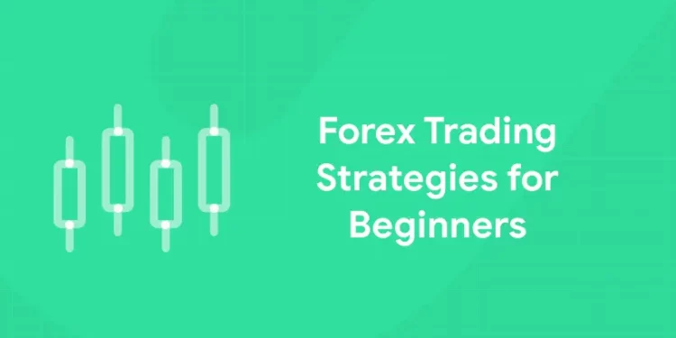 Forex Trading Strategies for Beginners