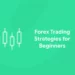 Forex Trading Strategies for Beginners