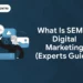 What is SEM in Digital Marketing (Experts Guide)