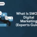 What is SMO in digital marketing (Experts Guide)