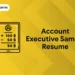 Account Executive Sample Resume
