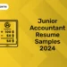 Junior Accountant Resume Samples 2024