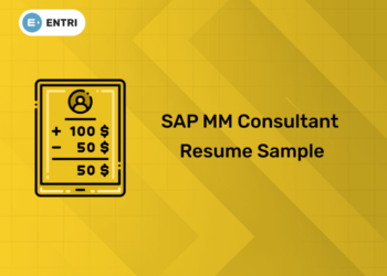 SAP MM Consultant Resume Sample