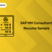 SAP MM Consultant Resume Sample