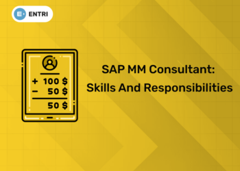 SAP MM Consultant Skills and Responsibilities