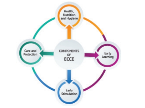 Components of ECCE