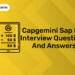 Capgemini Sap Mm Interview