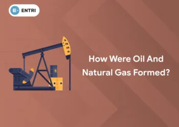 How Were Oil and Natural Gas Formed
