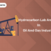 Hydrocarbon Lab Analyst in Oil and Gas Industry