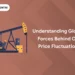 Understanding Global Forces Behind Oil Price Fluctuation